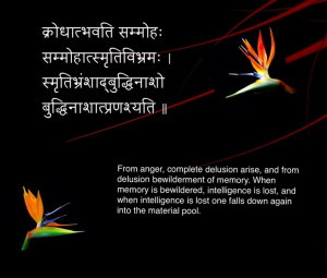 Sanskrit quote 13 क्रोधात्भवति ...