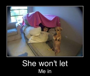 Cute and Funny Pictures and more