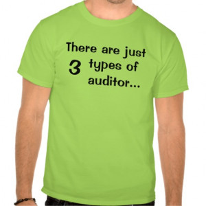Just 3 types of auditors - Funny T Shirt