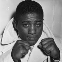 Brief about Floyd Patterson: By info that we know Floyd Patterson was ...