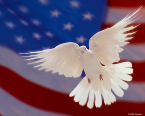 Patriotic Dove