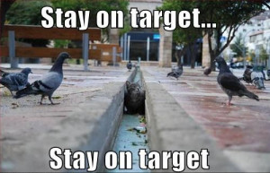 funny pictures cat pigeons star wars stay on target funny image Stay ...