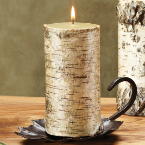 black and white birch bark