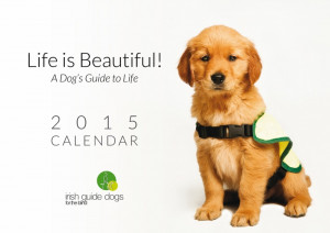 Our 2015 calendar combines some gorgeous photography of our dogs in ...