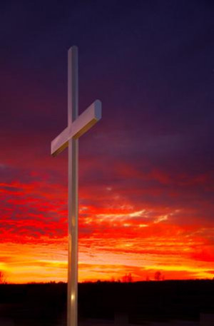 ... quotes from photographers from all walks of life they may be quotes