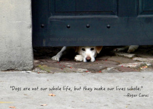Print - Inspirational Art - Quote Photo - Animal Photography - Dog ...