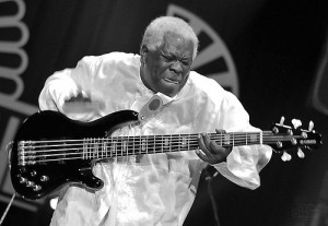 BLOG - Funny Bass Player Pictures