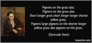 ... Pigeons large pigeons on the shorter longer yellow grass alas pigeons