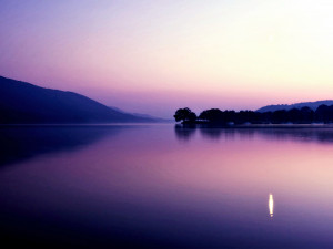 Depp Quotes Images Johnny Depp Quotes Tumblr Sunset Forest Lake