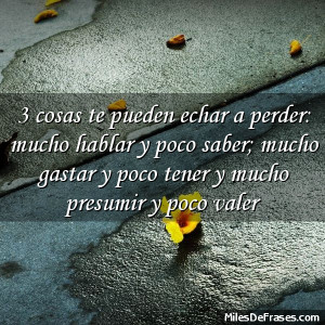 cosas te pueden echar a perder: mucho hablar y poco saber; mucho ...