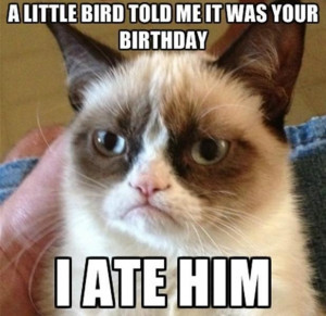 Little Bird Told Me It Was Your Birthday Funny Pic