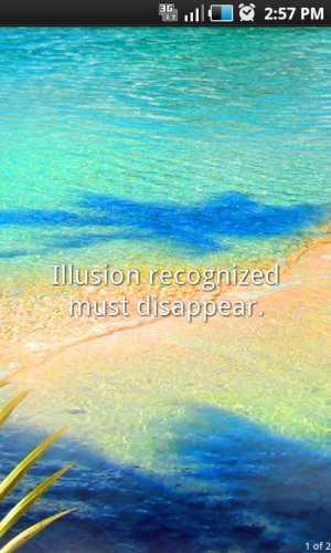 Illusion recognized must disappear.