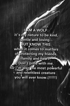 Lone Wolf Sayings Wolf quote. true :3