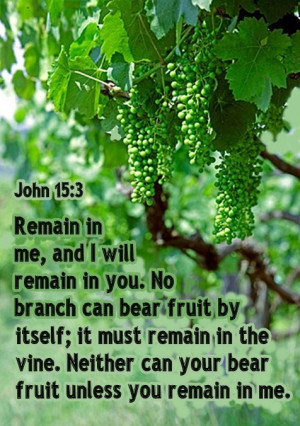 ... , Vines John, Jesus Th Vines, Jesus Faith, 15 3 Remain, Bible Verses