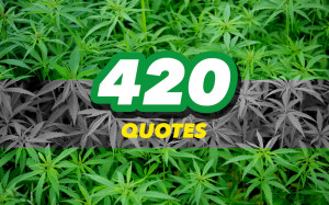 420-quotes-marijuana-day.jpg