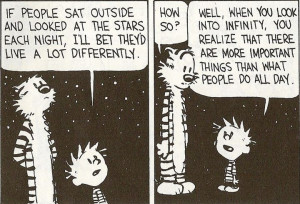 Calvin and Hobbes: Deepest flipping comic I ever read.