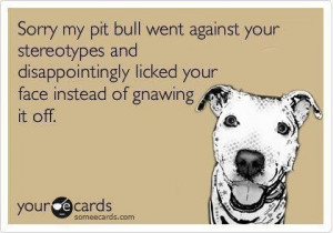 10 Signs You Shouldn’t Adopt a Pit Bull