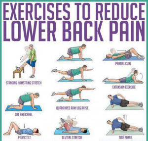 Exercises To Reduce Lower Back Pain, Daily Health Tips, Healthy ...