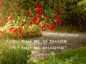 Posted in: by Pamela on November 26, 2013