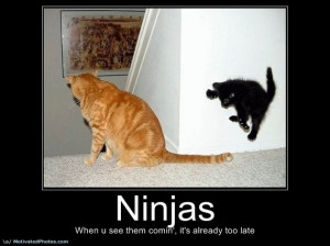 Funny Ninja Compilation (15 Pics)