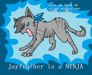 Warrior Cats Jayfeather And His Stick Jayfeather is a ninja by