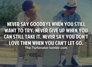 ... You Don’t Love The Person When You Can’t Let Go ~ Goodbye Quote