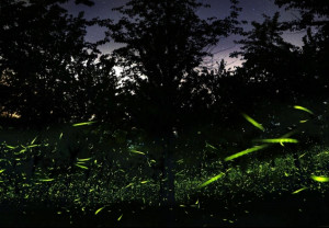 Funny Quotes Contact Dmca...