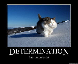Related Pictures funny determination poster and math result paper ...
