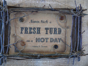 Kiss my grits...my sassy southern sayings frames