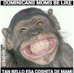 Dominicans be like