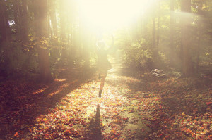 autumn, bright, fall, free, girl, jump, leaves, nature, sun