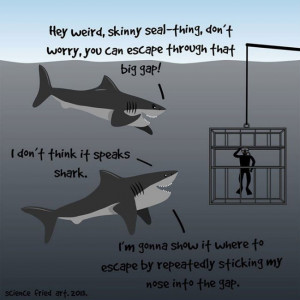 don’t think it speaks shark. See sharks are actually nice.