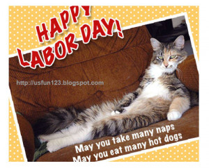 Funny labor day quotes cat