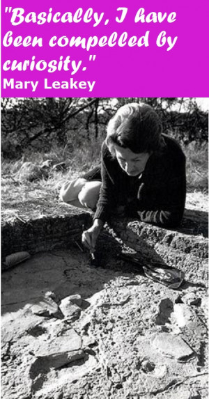 Mary Leakey discovered our ancient ancestors at Oldavai Gorge Africa.