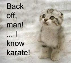Karate Quotes Funny