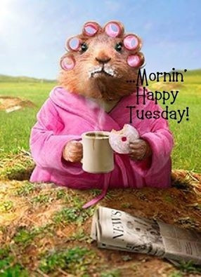 125267-Morning-Happy-Tuesday.jpg#Happy%20Tuesday%20286x395