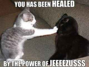 Funny Random Cat Pictures With Quotes | Image 57 of 71.