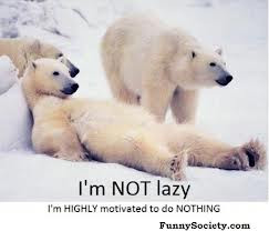 ... quotes lazy quotes lazy quotes funny funny lazy quotes lazy quote