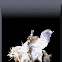 Fantasy Mystical Mystic...