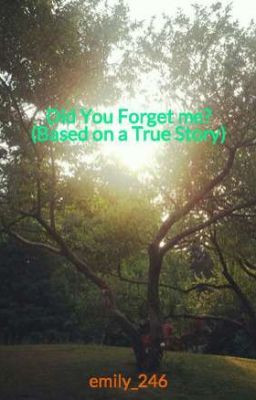 Did You Forget me?
