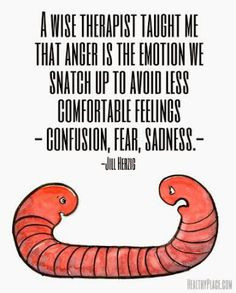 Anger = confusion, fear, sadness More