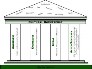 Quotes Cultural Competence ~ Patient Centeredness, Cultural Competence ...