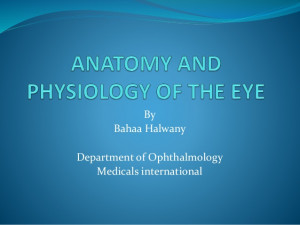 anatomy and physiology of the eye powerpoint