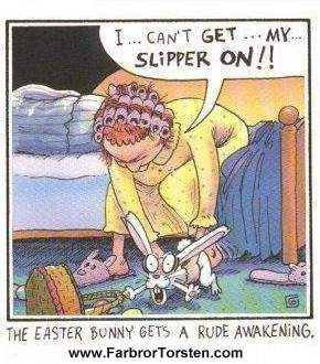 rabbit in the bedroom? shock!!!