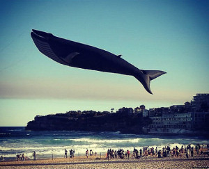 Cool Instagram Posts Travel instagram account to