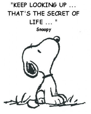 love Snoopy! Hell yeah me too lessons in life are upwards not ...