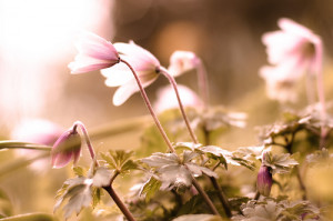 Stop trying to make others happy. Make you happy!