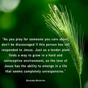 Don't be discouraged if someone we pray for has not responded to Jesus ...