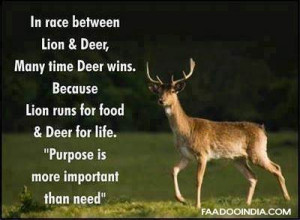 lion & deer, Many time deer wins. Because lion runs for food & deer ...