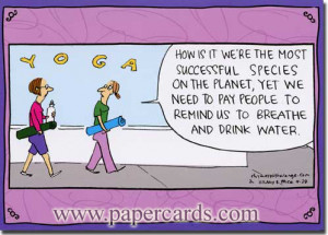 Yoga Moms (1 card/1 envelope) Rhymes with Orange Funny Birthday Card ...